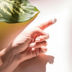 Dermalogica Active Moist 100ml 16 Dermalogica Active Moist 100ml -Sigma Store Active Moist1