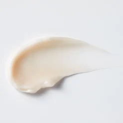 Innisfree Black Tea Youth Enhancing Cream 45ml 6 Innisfree Black Tea Youth Enhancing Cream 45ml -Sigma Store innisfree Black Tea Youth Enhancing Cream 45ml 3